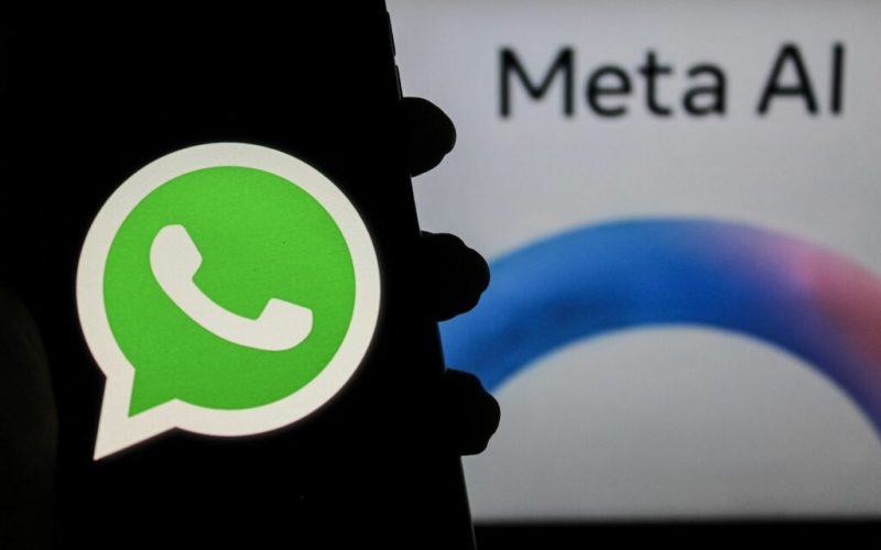 mod-avion-pe-whatsapp:-cum-activezi-acest-truc-pentru-a-te-conecta-fara-a-lasa-urme