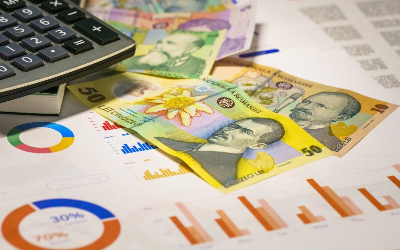 business-de-contabilitate-in-sistem-de-franciza,-in-romania-„eu-n-am-fost-niciodata-indragostit-de-munca.-sunt-agent-de-vanzari-la-noi-la-intreprindere”