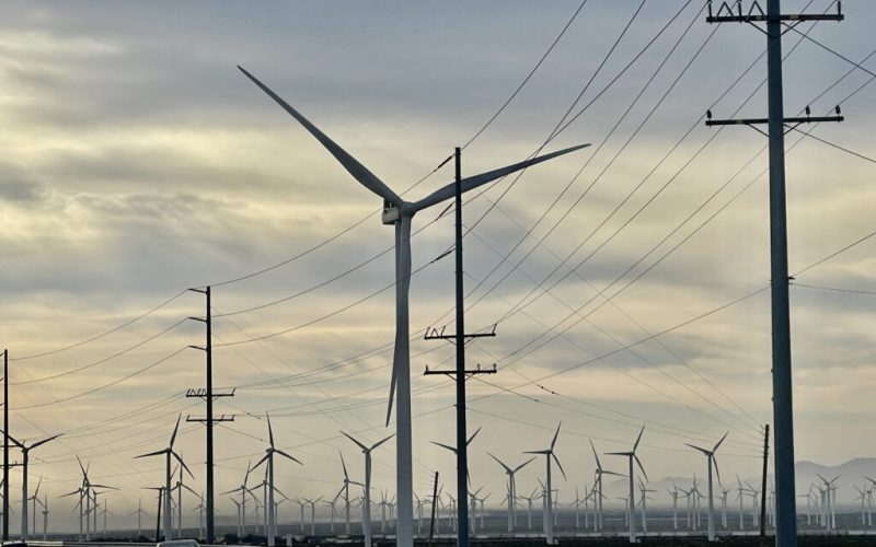 incep-lucrarile-la-un-parc-eolian-care-va-reduce-emisiile-de-co2-cat-pot-7,5-milioane-de-copaci.-ce-judet-este-capitala-regionala-a-energiei-eoliene