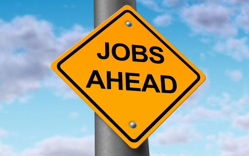 unele-firme-se-pregatesc-de-sezonul-de-sarbatori.-in-ce-orase-din-romania-sunt-cele-mai-multe-anunturi-de-locuri-de-munca-(platforma-de-recrutare)