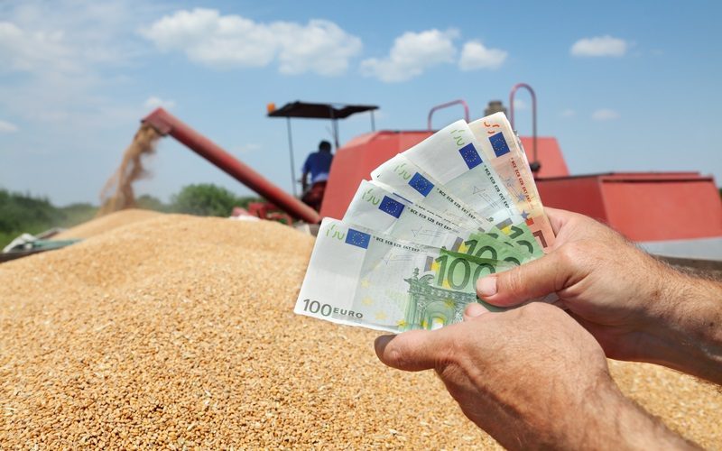 asocierea-–-cheia-succesului-pentru-micii-fermieri.-fragmentarea-terenurilor-agricole,-de-la-vulnerabilitate-pentru-romania,-la-avantaj-competitiv-si-de-rezilienta
